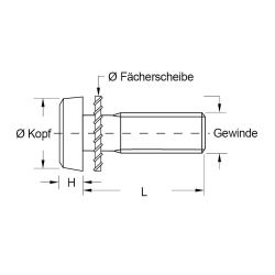 Zeichnung-Kombischraube-mit-Faecherscheibe