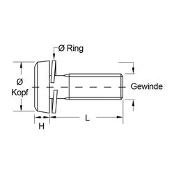 Zeichnung-Kombischraube-mit-Federring