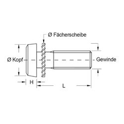 Zeichnung-Kombischraube-mit-Faecherscheibe
