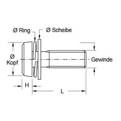 Zeichnung-Kombischraube-mit-Federring-und-Unterlegscheibe