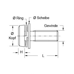 Zeichnung1-Kombischraube-1604512HS