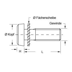 Zeichnung-Kombischraube-mit-Faecherscheibe