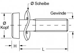 Zeichnung1-Kombischrauben-1601306ZS