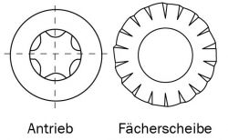 Zeichnung-Antrieb-Torx-Faecherscheibe
